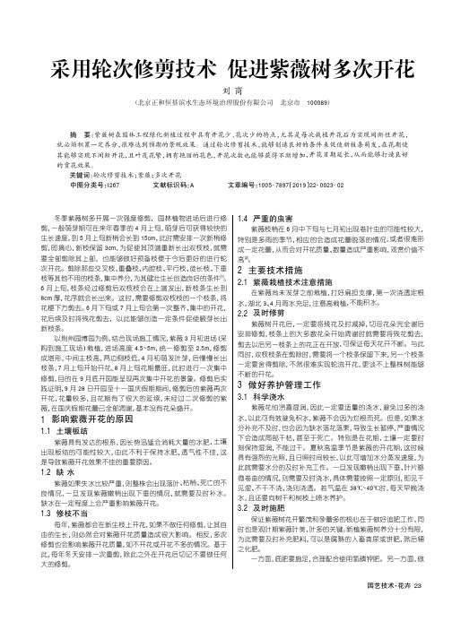 采用轮次修剪技术 促进紫薇树多次开花