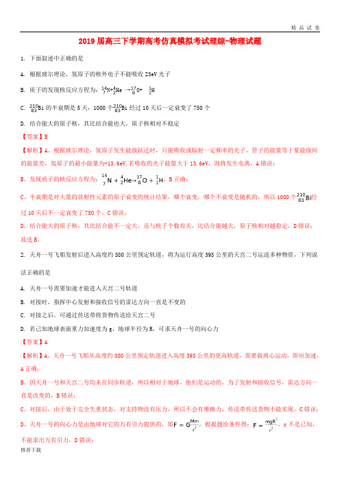 2019届高考物理仿真模拟考试试题(含解析)