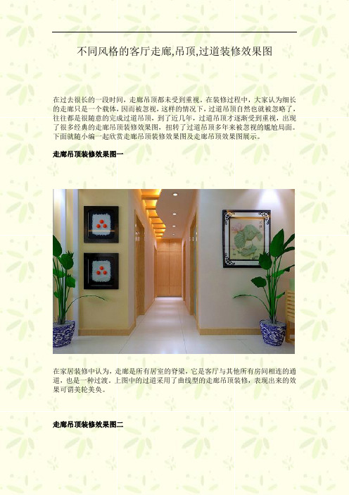 不同风格的客厅走廊,吊顶,过道装修效果图