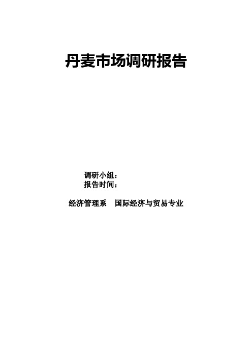 丹麦市场调研报告