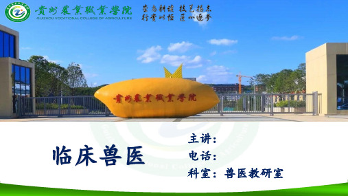 临床兽医-13内外-呼吸系统疾病