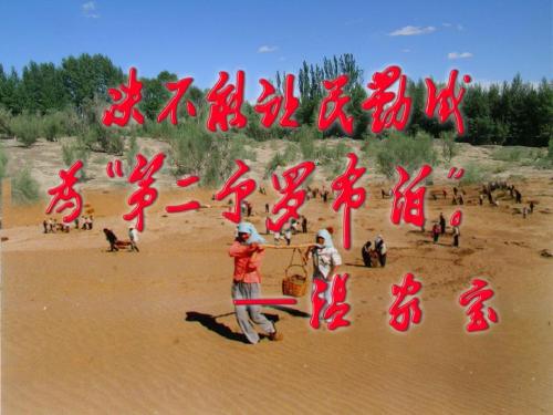 沧桑石羊河1