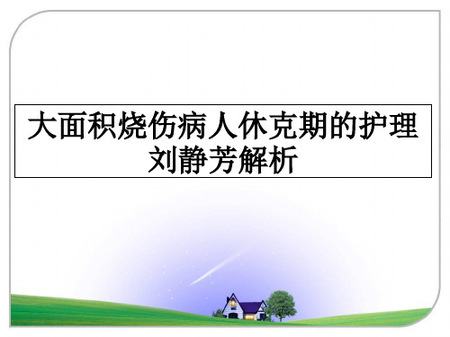 最新大面积烧伤病人休克期的护理刘静芳解析ppt课件