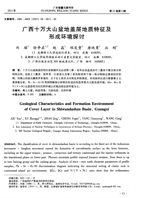 广西十万大山盆地盖层地质特征及形成环境探讨