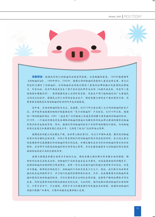 提高断奶母猪7d内配种率是提升母猪场生产效益的关键