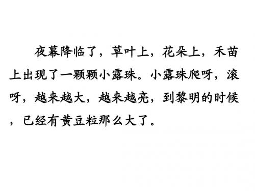 三年级语文小露珠1