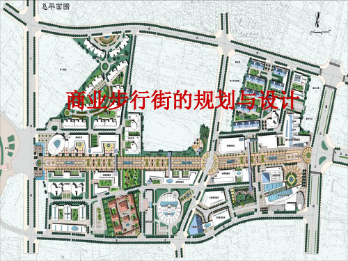 商业步行街的规划与设计[精]