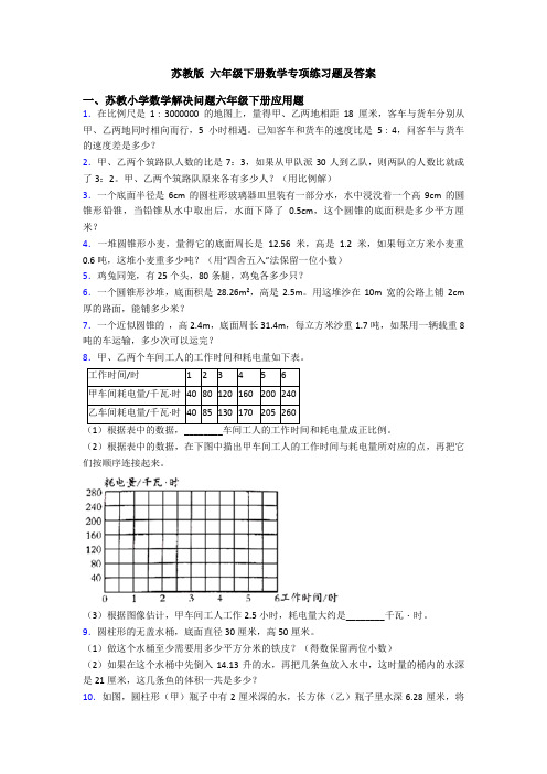 苏教版 六年级下册数学专项练习题及答案