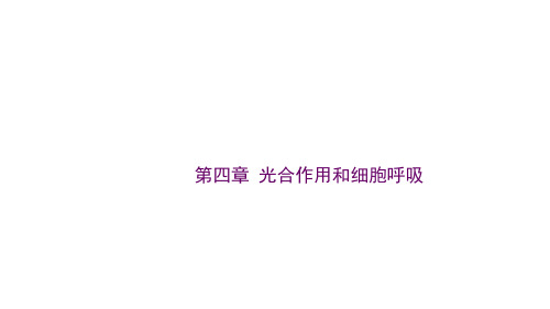 苏教版高中生物必修一课件第四章 光合作用和细胞呼吸复习40张PPT