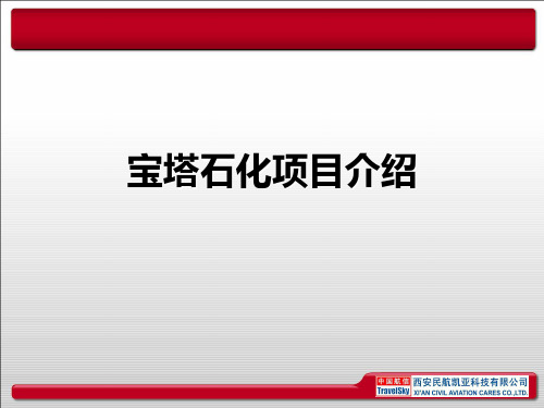 宝塔石化项目介绍