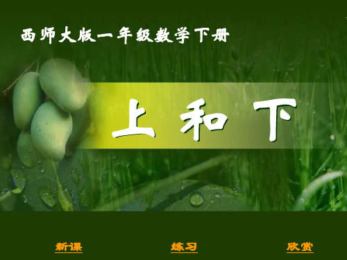 西师大版数学一下上和下课件之二