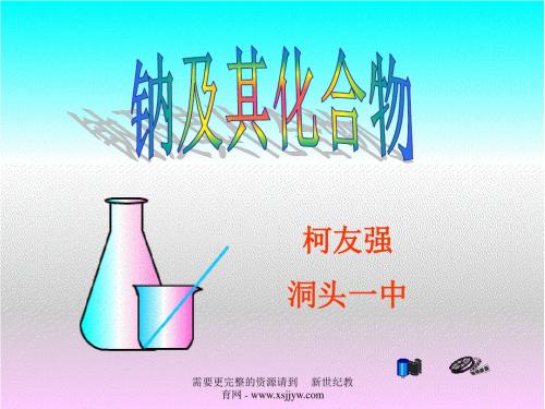 钠及其化合物