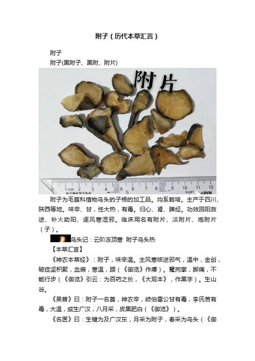 附子（历代本草汇言）