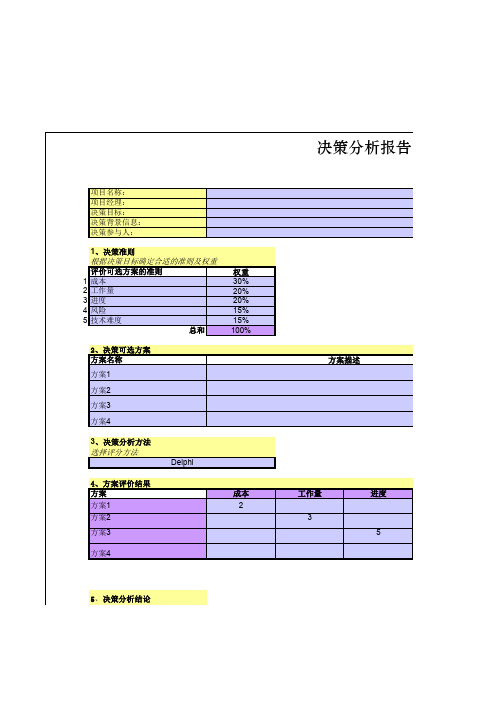 决策分析报告-模板