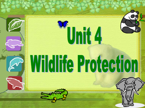 Unit 4 Wildlife protection 高中英语必修课件