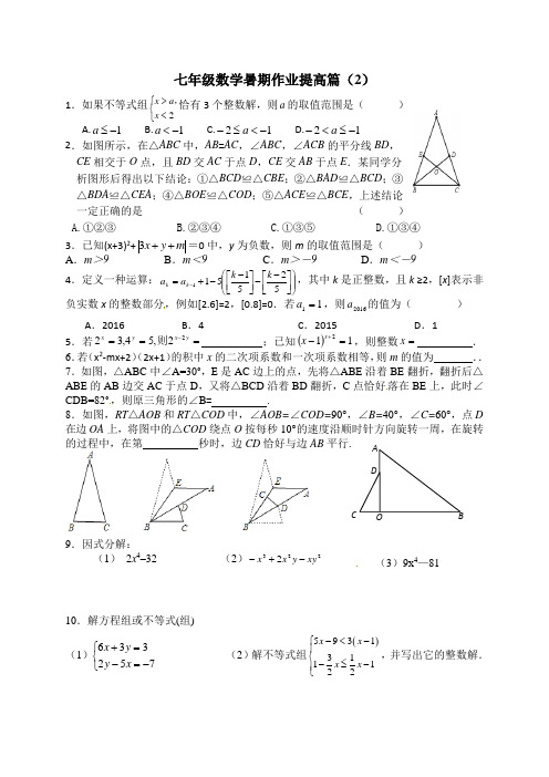 七年级数学暑期作业提高篇(2)