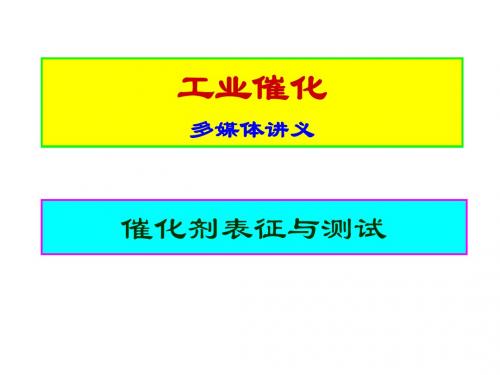 催化剂表征与测试