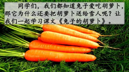 2019年新苏教版三年级语文下册5 兔子的胡萝卜(精品)