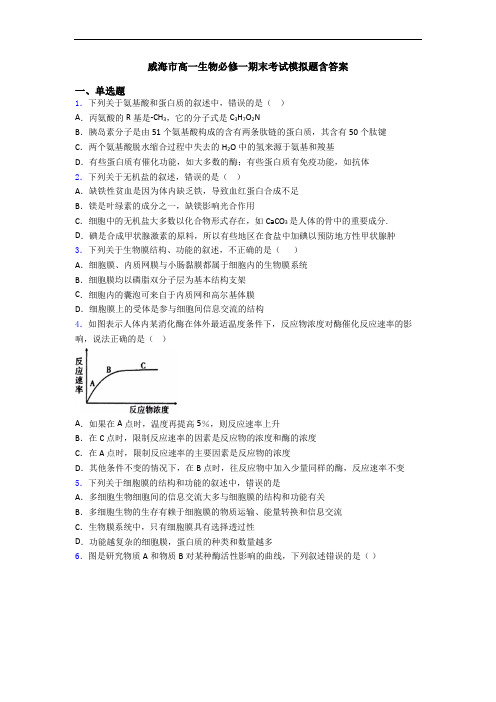 威海市高一生物必修一期末考试模拟题含答案