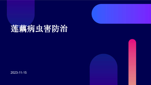 莲藕病虫害防治