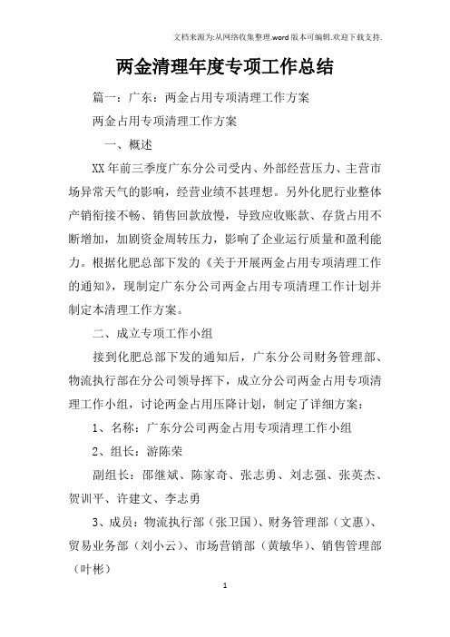 两金清理年度专项工作总结