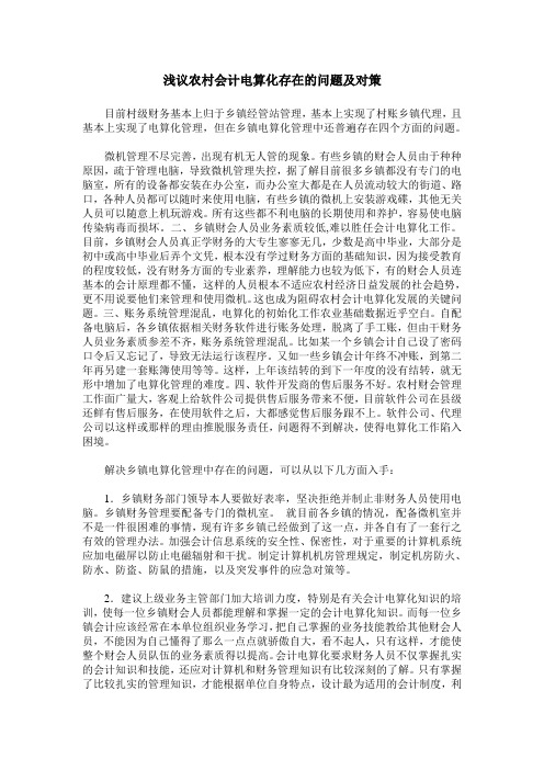 浅议农村会计电算化存在的问题及对策