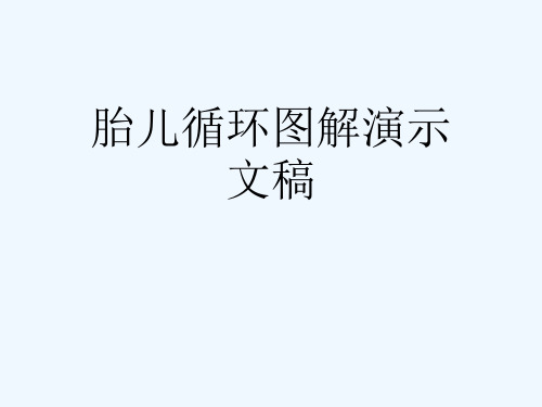 胎儿循环图解演示文稿