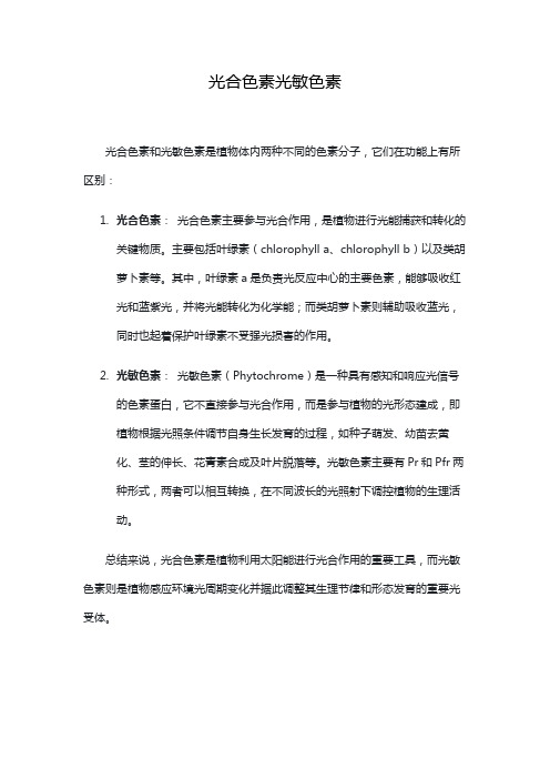 光合色素光敏色素