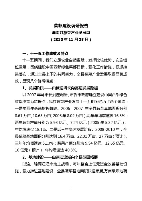 菜都建设调研报告