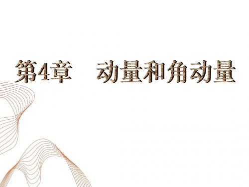 第4章 动量和角动量