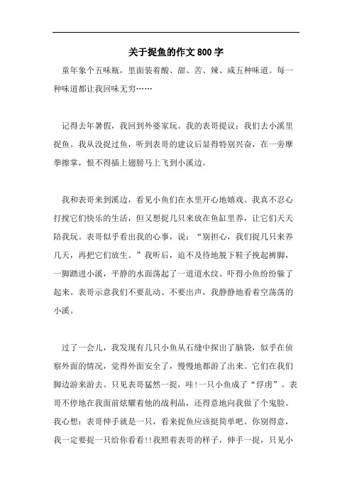 关于捉鱼的作文800字