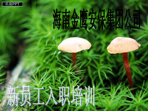 某安保集团公司新员工入职培训PPT课件