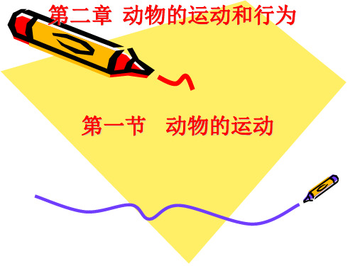 动物的运动和行为学习课件PPT
