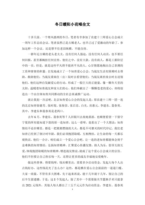 冬日暖阳小花喵全文