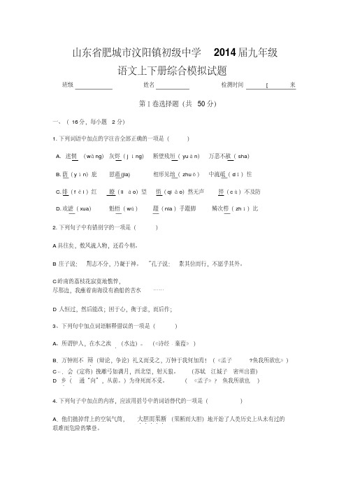 山东省肥城市汶阳镇初级中学2014届九年级语文上下册综合模拟试题
