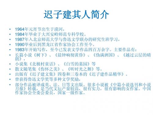 迟子建A