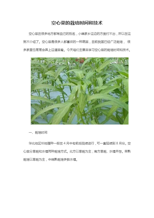空心菜的栽培时间和技术