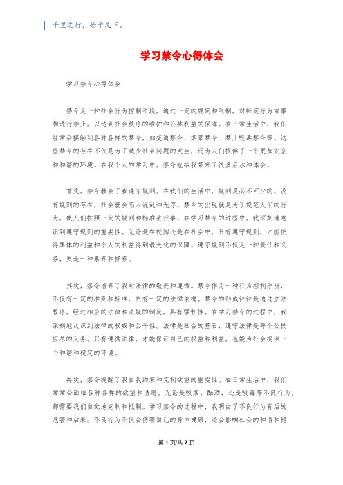 学习禁令心得体会