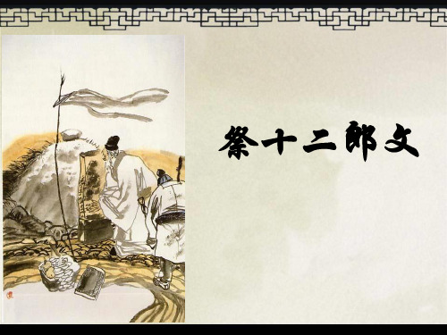 祭十二郎文优秀实用精品PPT课件