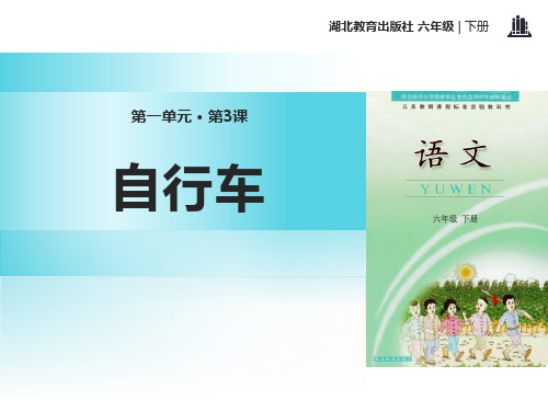 《自行车》PPT【精选推荐课件】