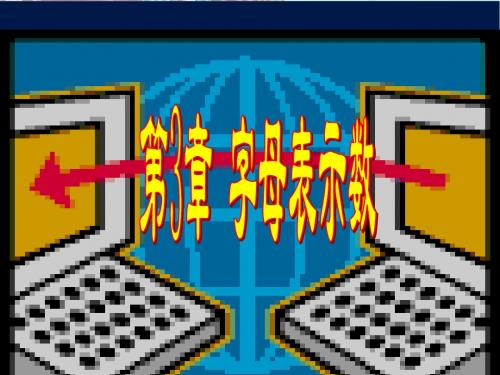 【中考-章节复习二】第三章 字母表示数