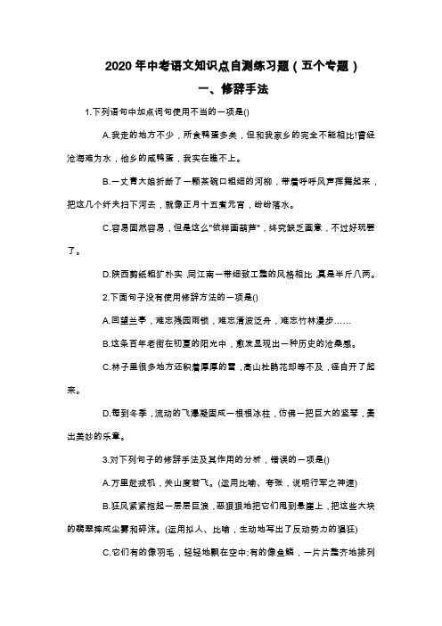 2020年中考语文知识点自测练习题(六个专题)