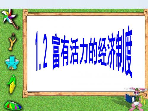 《富有活力的经济制度》课件