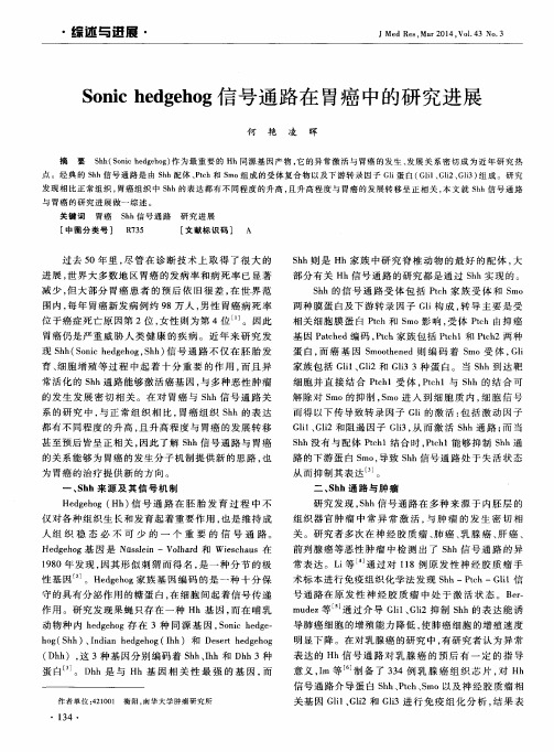 Sonic hedgehog信号通路在胃癌中的研究进展