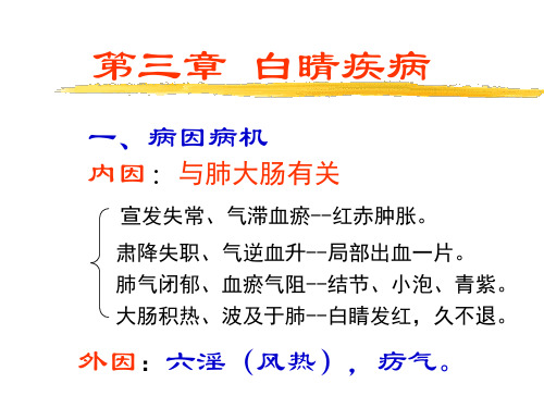 白睛