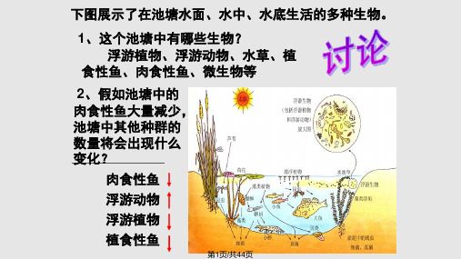 群落的空间结构PPT课件