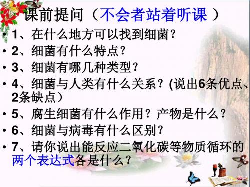六年级科学上册馒头发霉了精选教学PPT课件2青岛版
