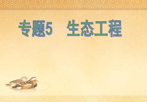 高中生物选修三5.1 生态工程的基本原理43ppt