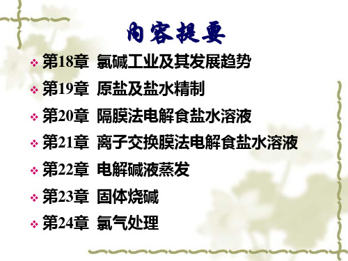 氯碱化工工艺