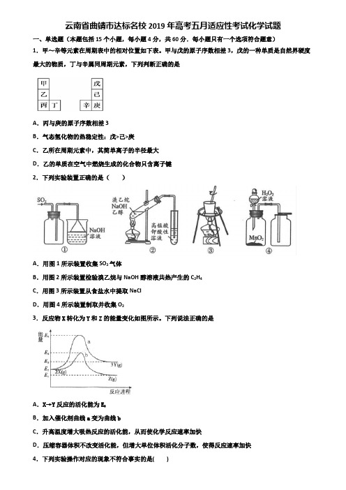 云南省曲靖市达标名校2019年高考五月适应性考试化学试题含解析